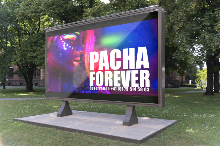 Pacha-forever